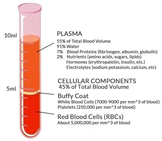 Platelet Rich Plasma behandling PRP for Hårtab Hud og Hårklinikken